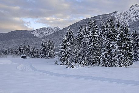 Snowy landscape 